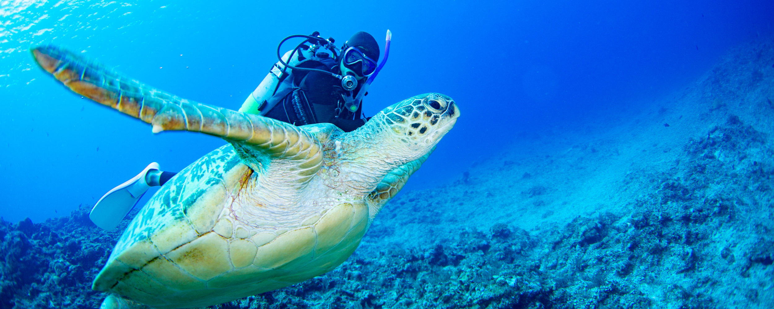 ダイビング中もおしゃれに ーヘアスタイル編ー Blue Aloha宮古島